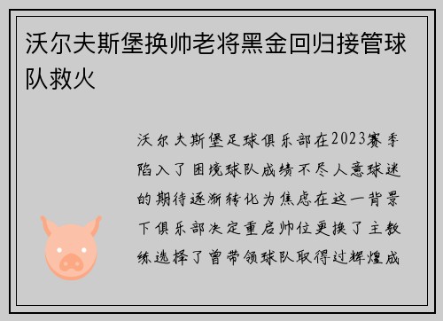 沃尔夫斯堡换帅老将黑金回归接管球队救火